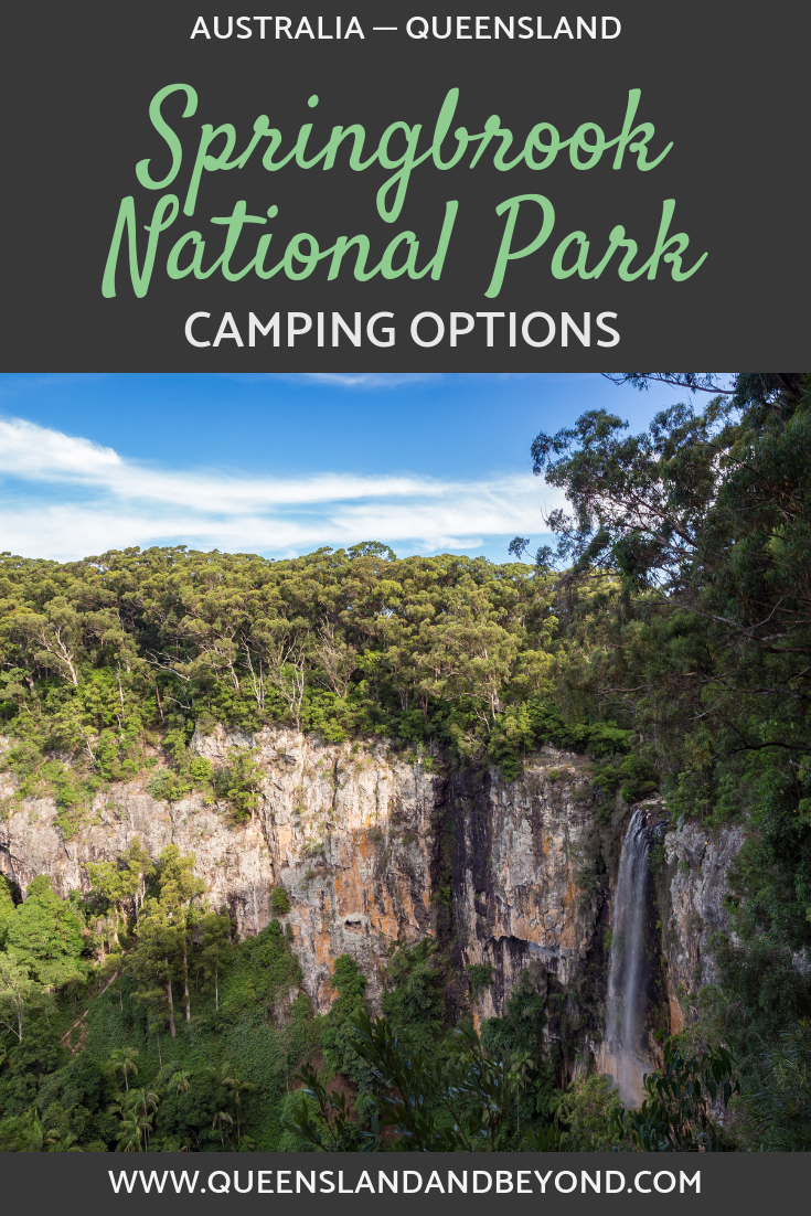 Springbrook National Park Camping Review