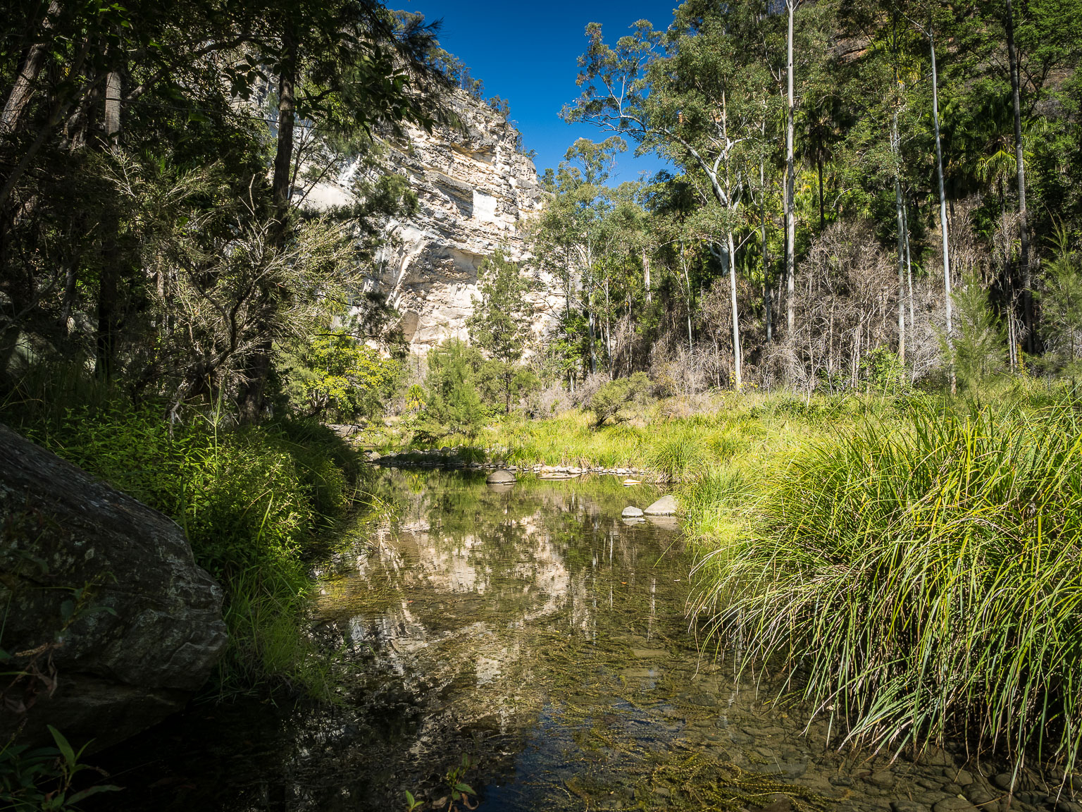 A Quick Carnarvon Gorge Camping Guide