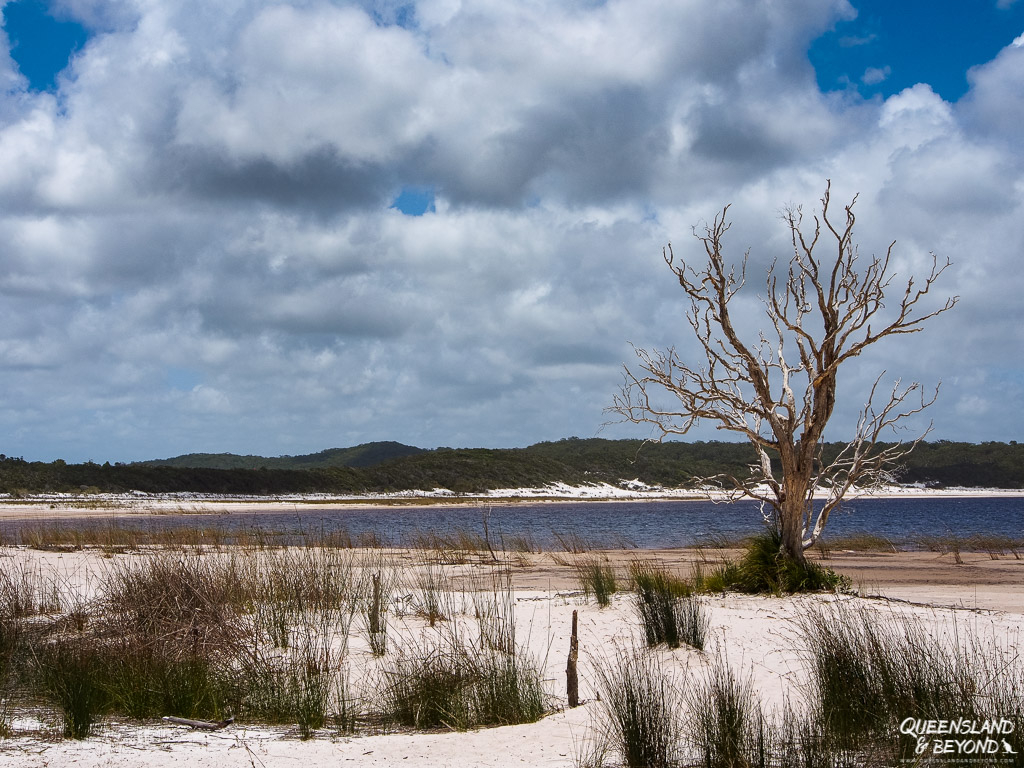 The Best Fraser Island Camping Areas